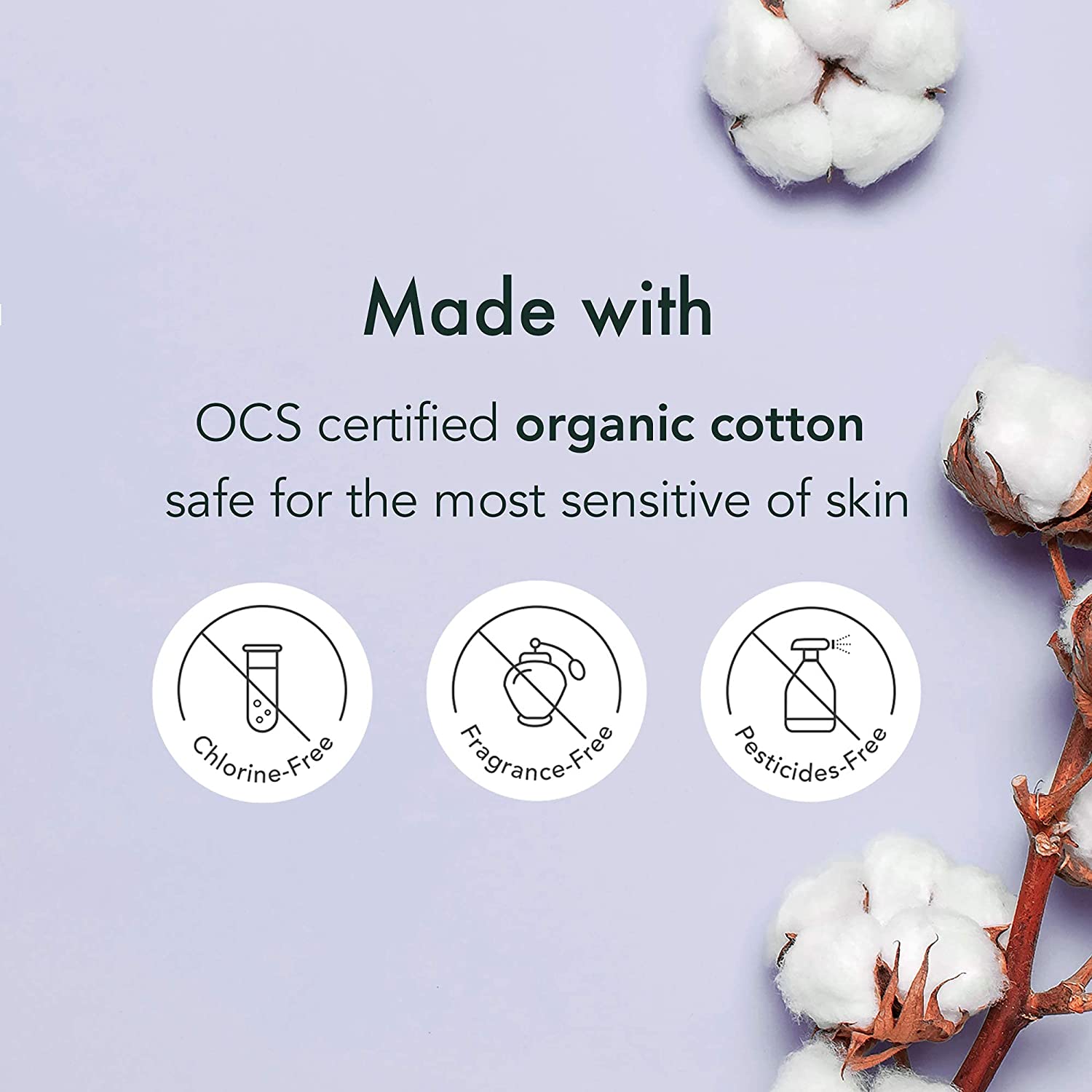 RAEL Organic Cotton Cover Disposable Period Underwear S/M 5pcs 
